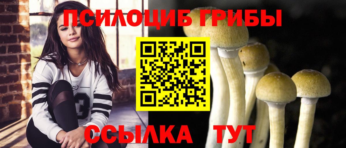 Галлюциногенные грибы мухоморы Алексин